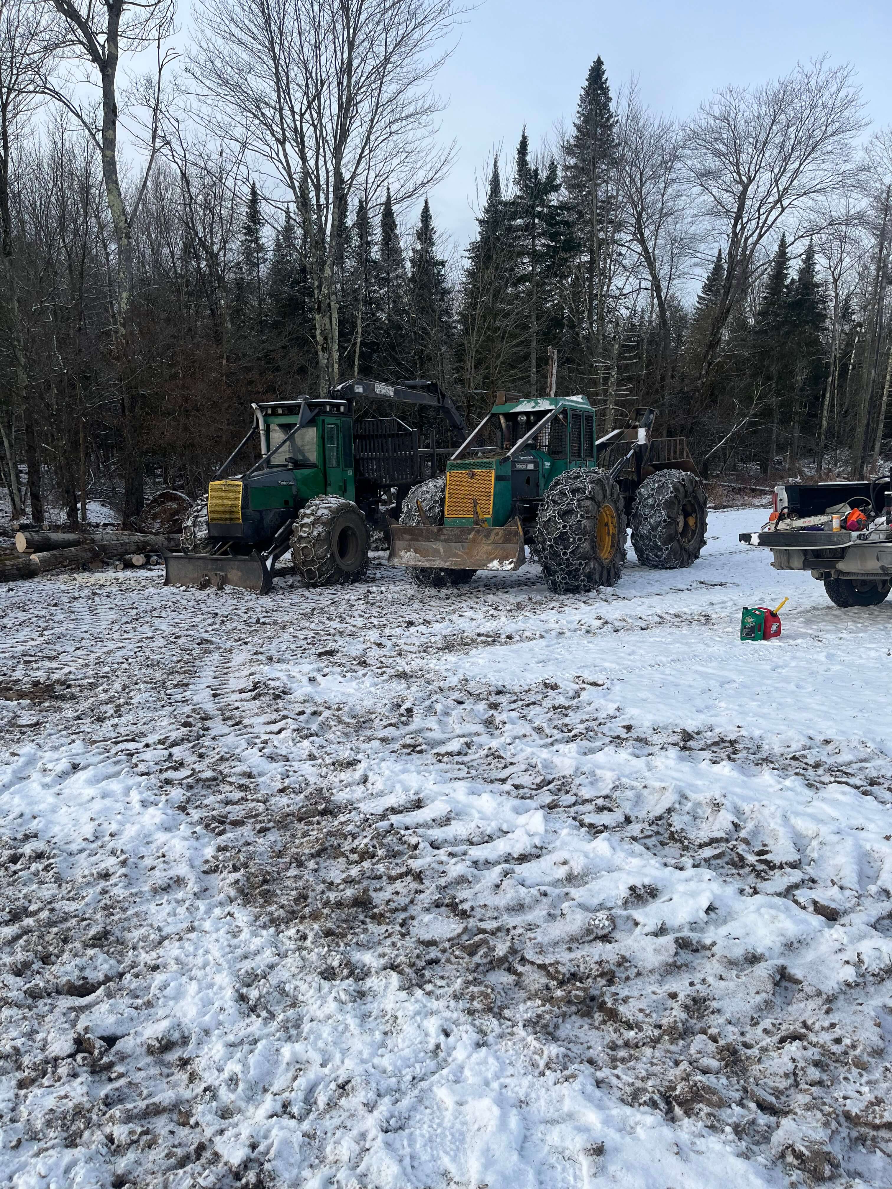 Nettoyage d'érablière